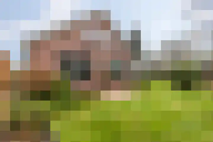 Briklaan 20 Leek thumbnail 32