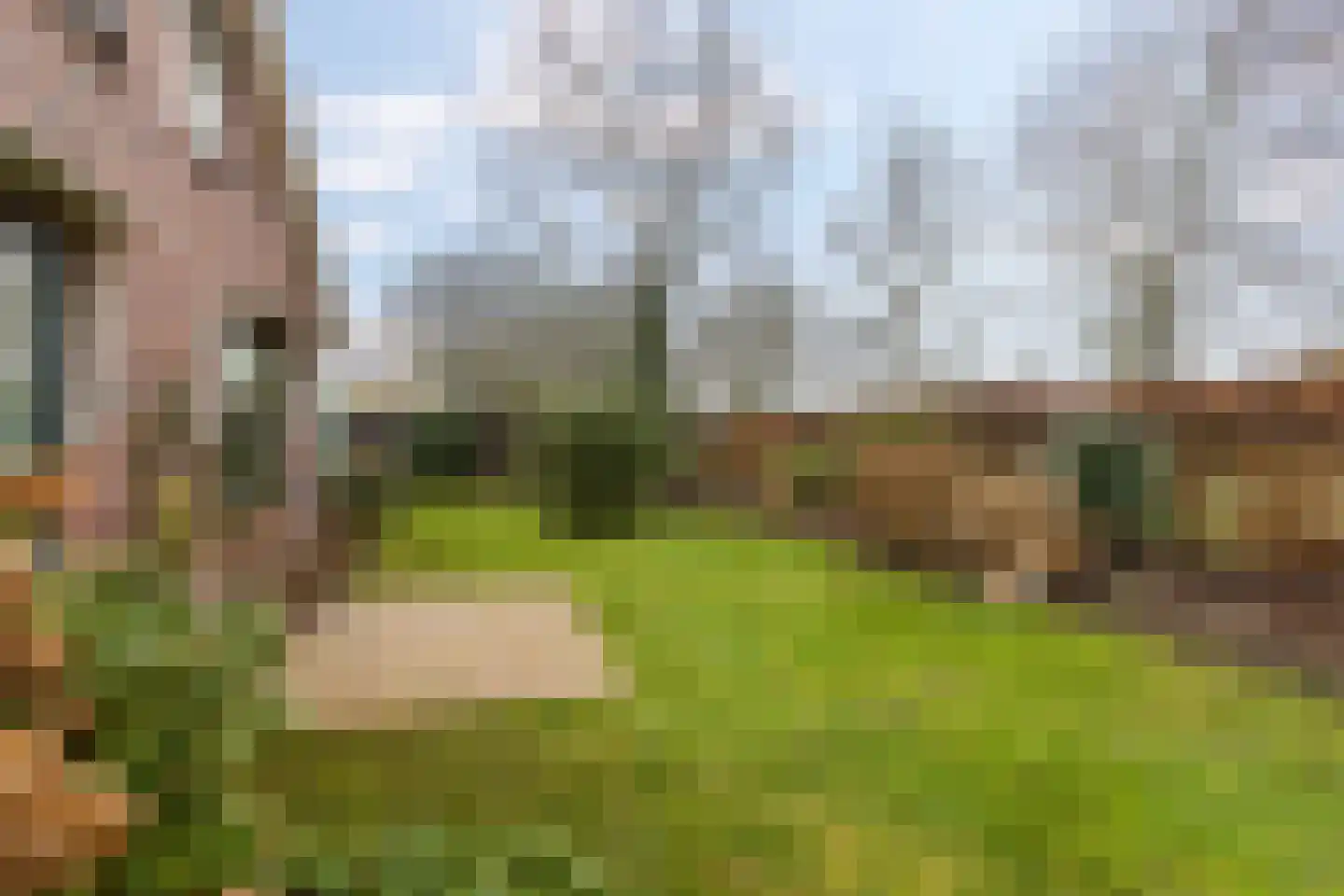 Briklaan 20 Leek thumbnail 33