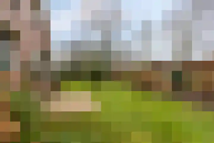 Briklaan 20 Leek thumbnail 33