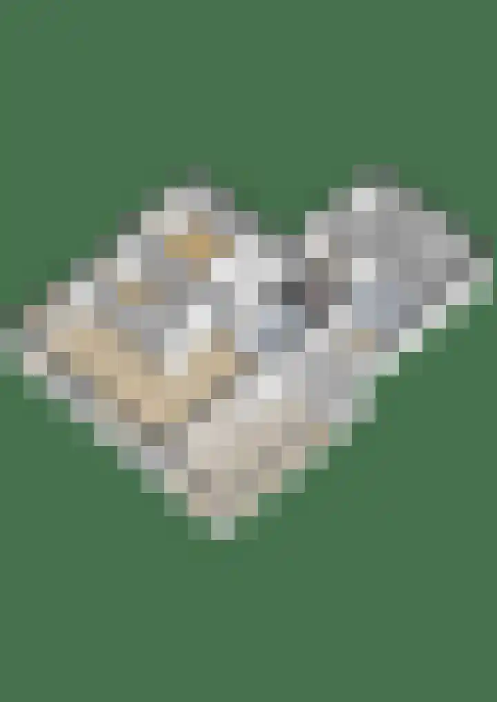 Briklaan 20 Leek thumbnail 40