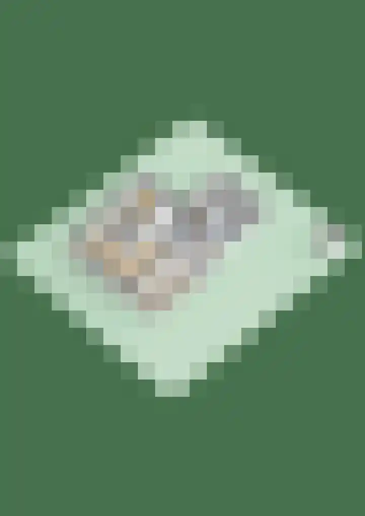 Briklaan 20 Leek thumbnail 45