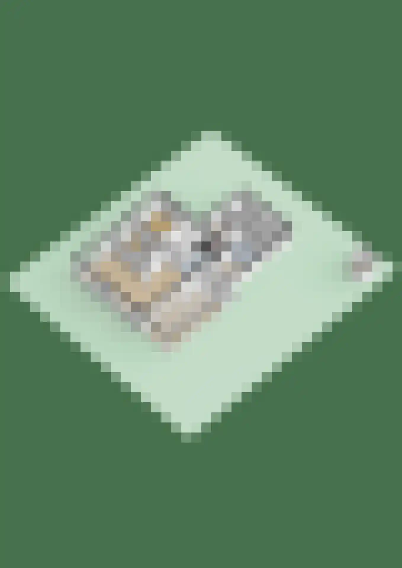Briklaan 20 Leek thumbnail 45