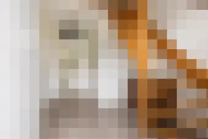 Briklaan 20 Leek thumbnail 5