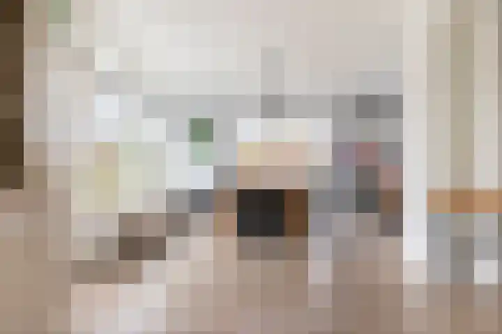 Briklaan 20 Leek thumbnail 6