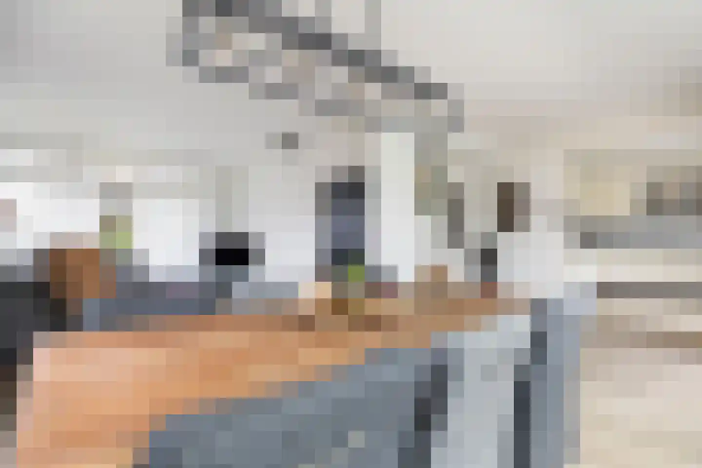Briklaan 20 Leek thumbnail 7