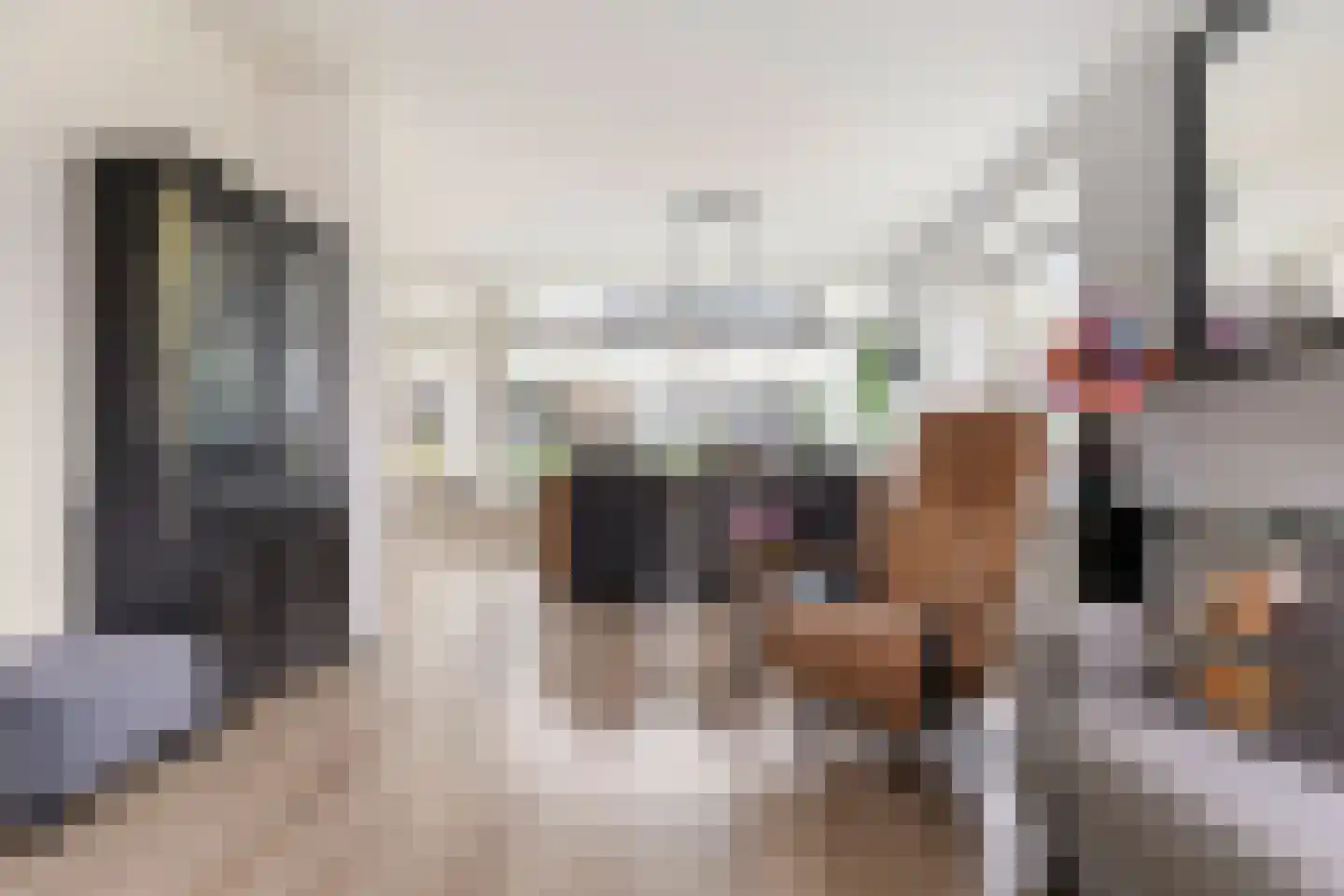 Briklaan 20 Leek thumbnail 9