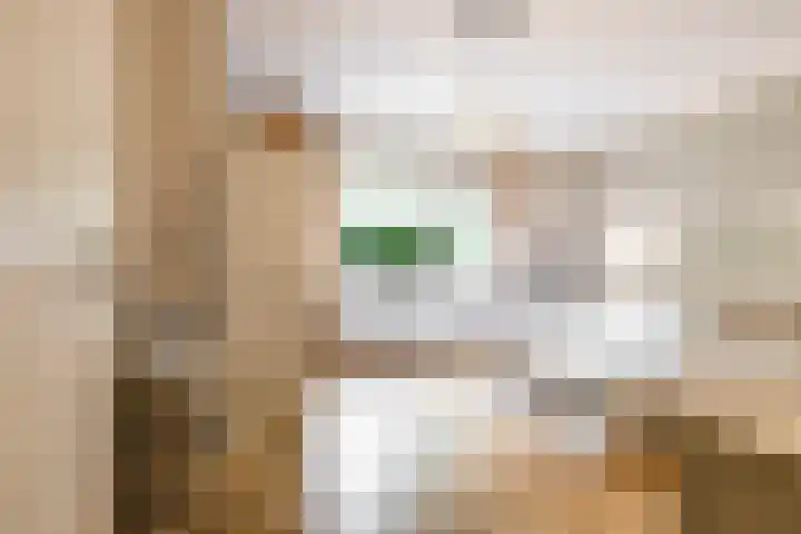 Briklaan 28 Leek thumbnail 10