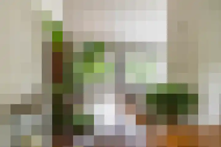 Briklaan 28 Leek thumbnail 16