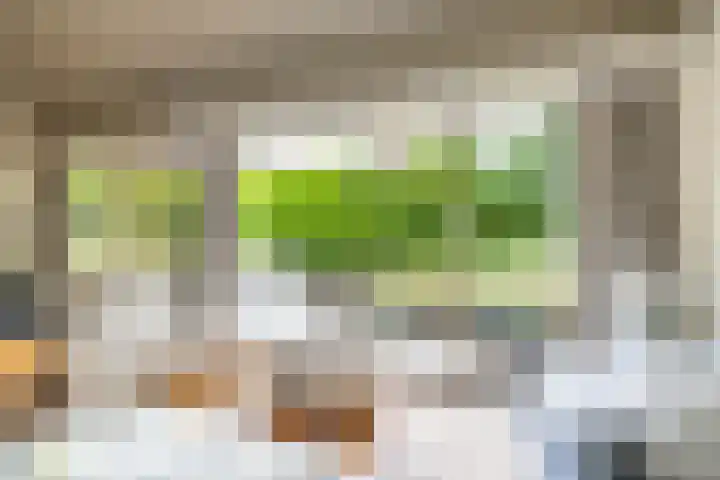 Briklaan 28 Leek thumbnail 23