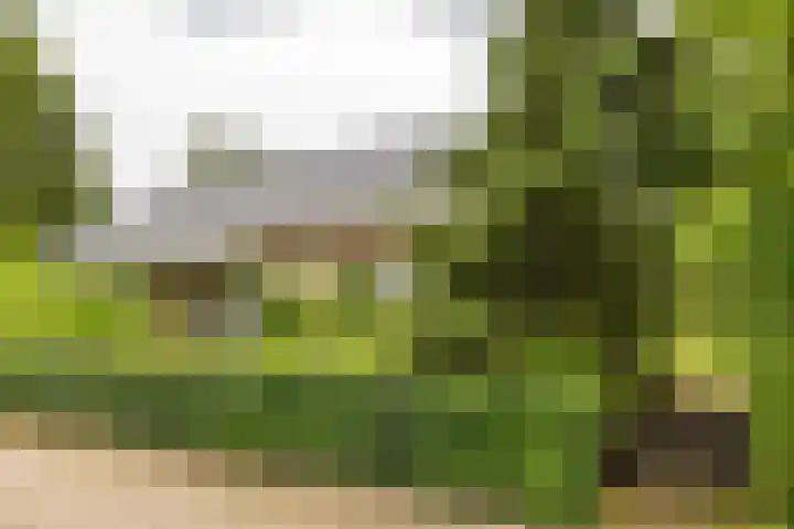 Briklaan 28 Leek thumbnail 4