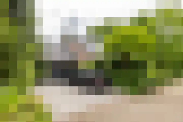 Briklaan 28 Leek thumbnail 5