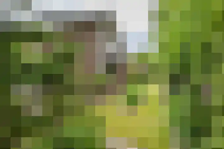 Briklaan 28 Leek thumbnail 53