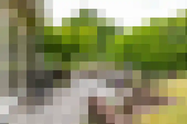 Briklaan 28 Leek thumbnail 56