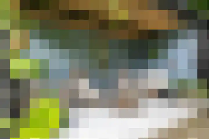Briklaan 28 Leek thumbnail 63