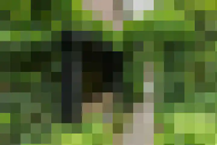 Briklaan 28 Leek thumbnail 65