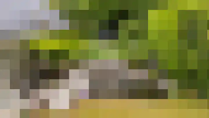 Briklaan 28 Leek thumbnail 67