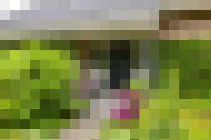 Briklaan 28 Leek thumbnail 7