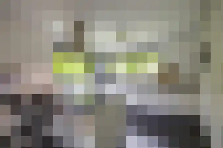 Briklaan 4 Leek thumbnail 10