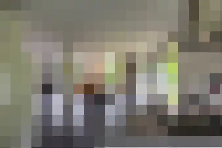 Briklaan 4 Leek thumbnail 11