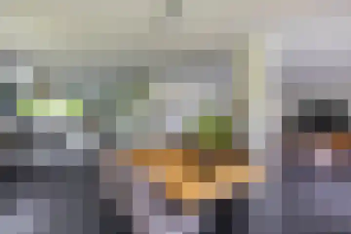 Briklaan 4 Leek thumbnail 12