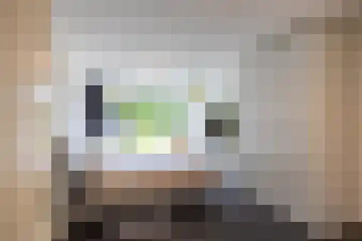 Briklaan 4 Leek thumbnail 16