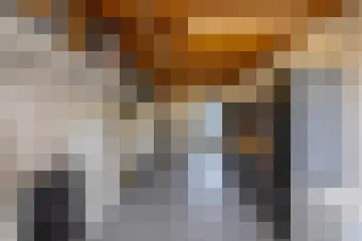 Briklaan 4 Leek thumbnail 17