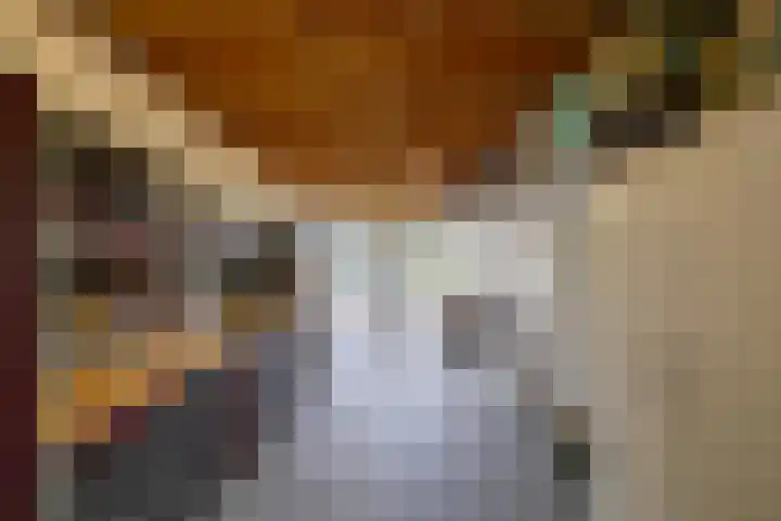 Briklaan 4 Leek thumbnail 19