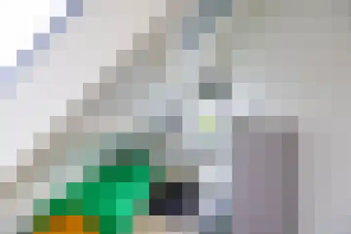 Briklaan 4 Leek thumbnail 23
