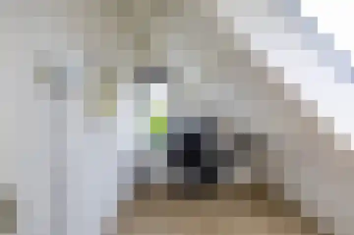 Briklaan 4 Leek thumbnail 24