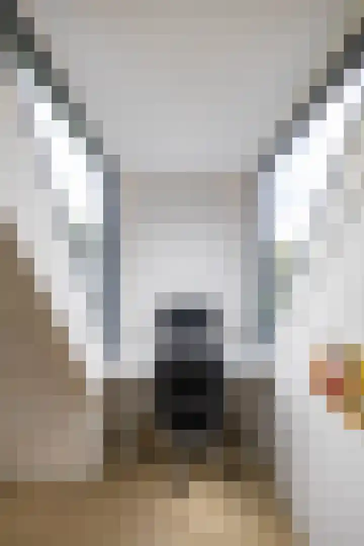 Briklaan 4 Leek thumbnail 25