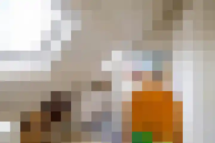 Briklaan 4 Leek thumbnail 27