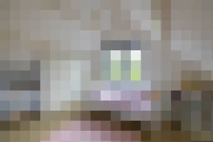 Briklaan 4 Leek thumbnail 28