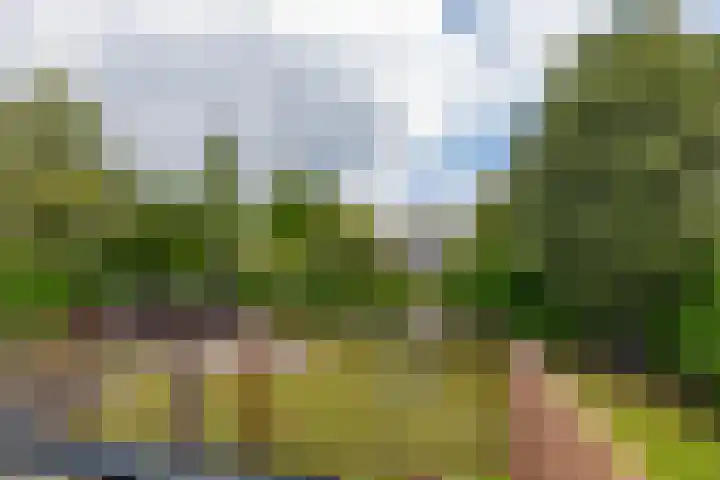 Briklaan 4 Leek thumbnail 29