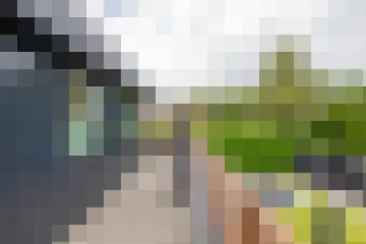 Briklaan 4 Leek thumbnail 30