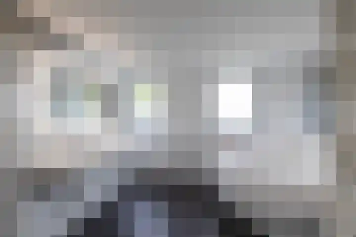 Briklaan 4 Leek thumbnail 31