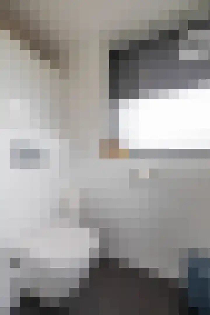 Briklaan 4 Leek thumbnail 33