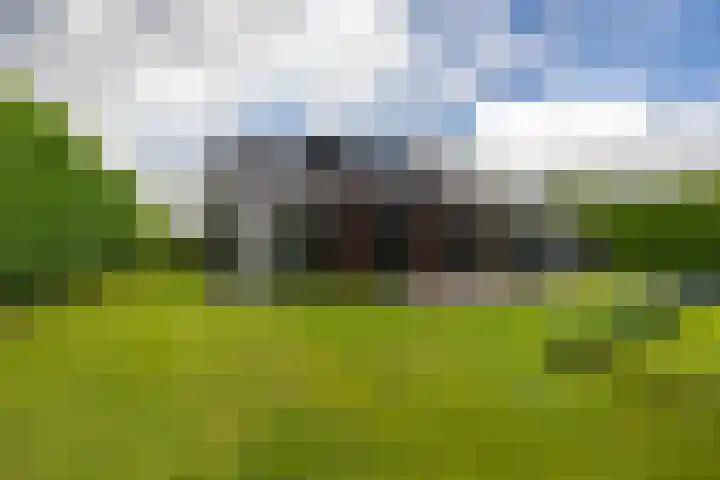 Briklaan 4 Leek thumbnail 37