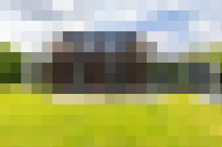 Briklaan 4 Leek thumbnail 38