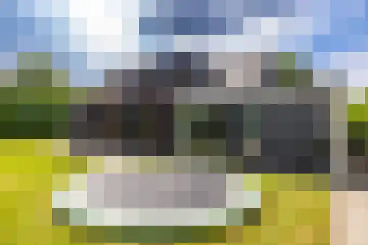 Briklaan 4 Leek thumbnail 39
