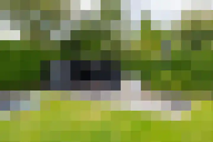 Briklaan 4 Leek thumbnail 40