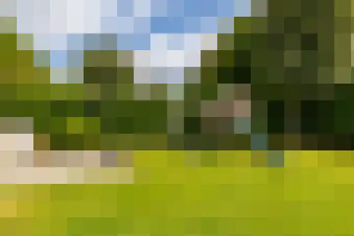 Briklaan 4 Leek thumbnail 41
