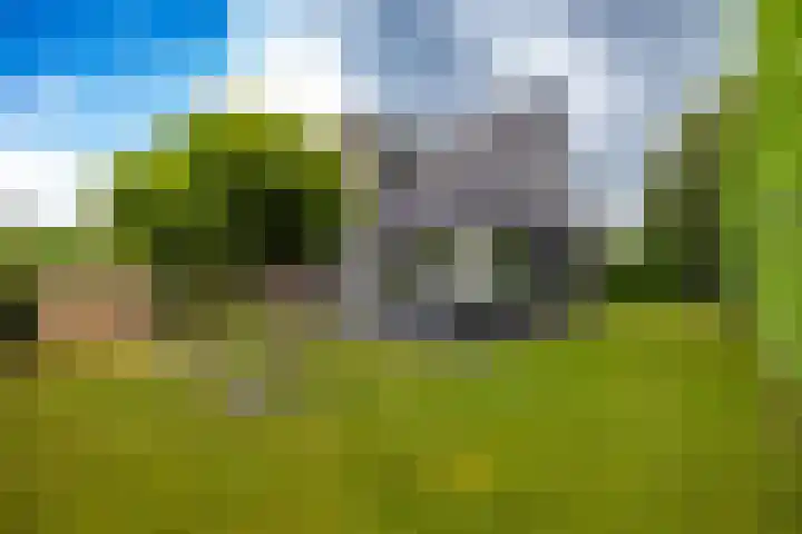 Briklaan 4 Leek thumbnail 42