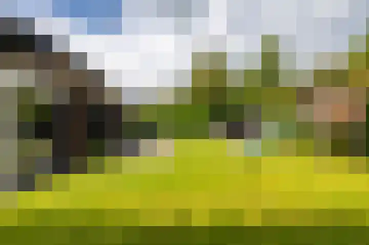 Briklaan 4 Leek thumbnail 43