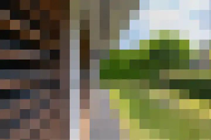Briklaan 4 Leek thumbnail 45