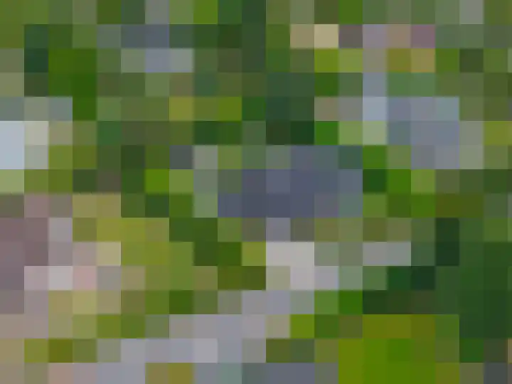 Briklaan 4 Leek thumbnail 46