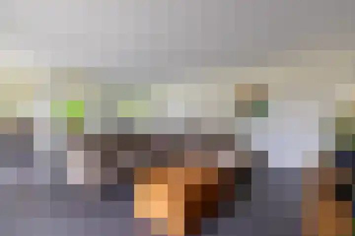 Briklaan 4 Leek thumbnail 6