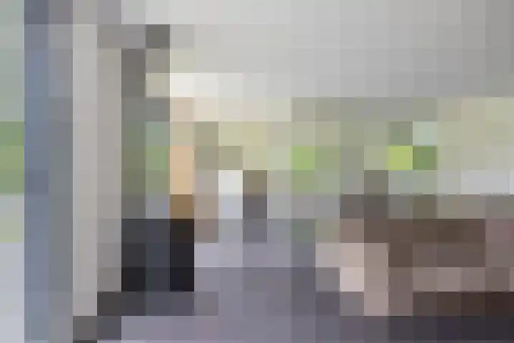 Briklaan 4 Leek thumbnail 7