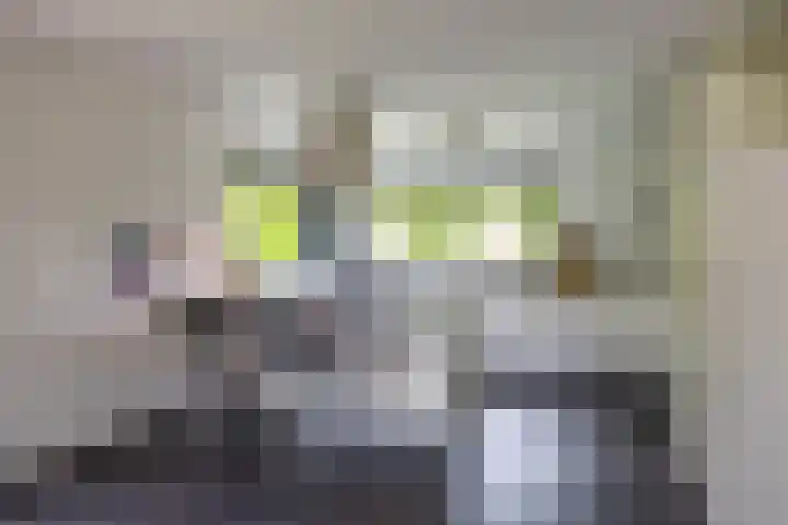 Briklaan 4 Leek thumbnail 9
