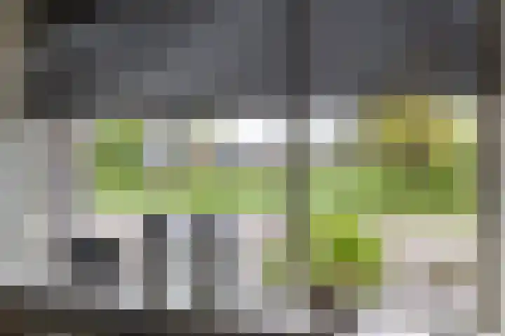 Briklaan 7 Veendam thumbnail 17