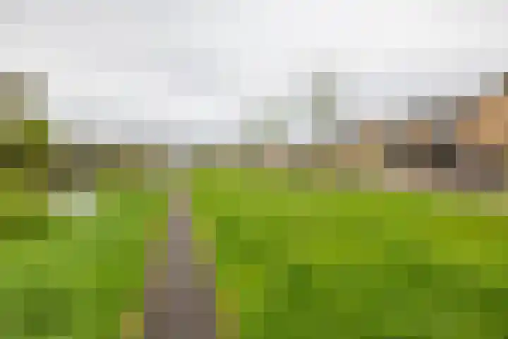 Briklaan 7 Veendam thumbnail 48